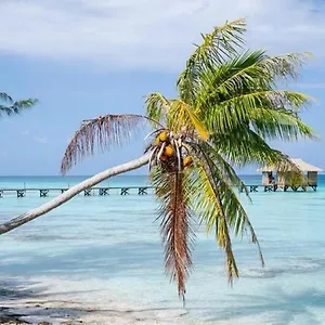 Sunset Hill , Bora Bora Französisch-Polynesien